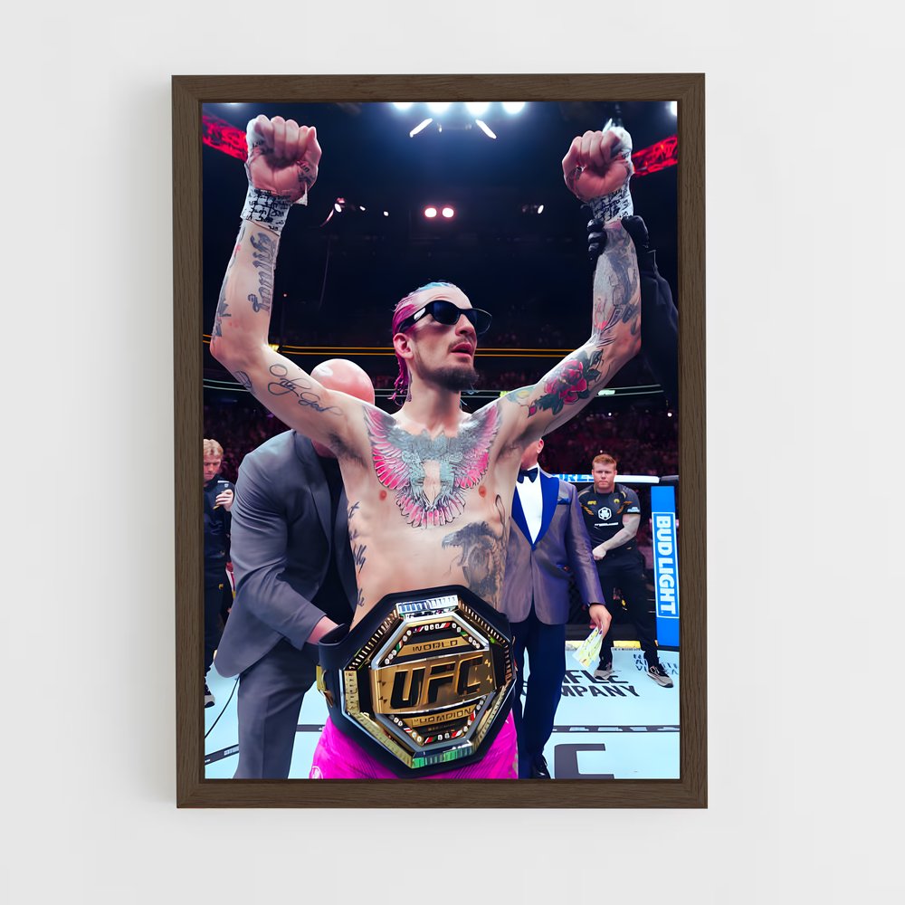 Poster Champion Émérite – affiche MMA (vue 5)